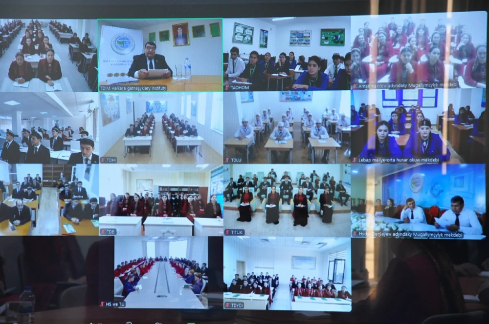 SANLY ULGAM ARKALY WEBINAR GEÇIRILDI