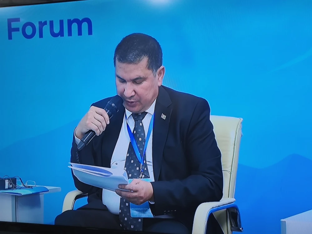 Энергия, климат и транспорт: подход Туркменистана к приоритетам регионального развития