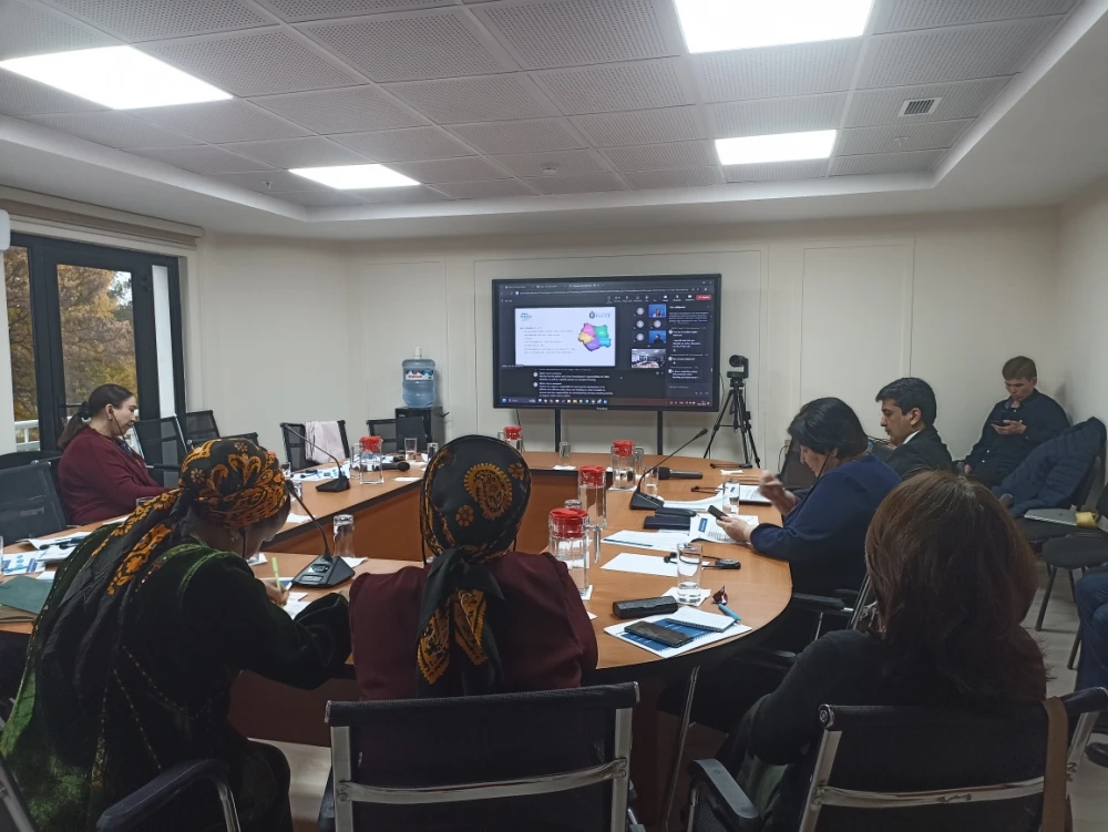 INTERNATIONAL BRIEFING CONSULTATION ON GENDER ISSUES WAS HELD