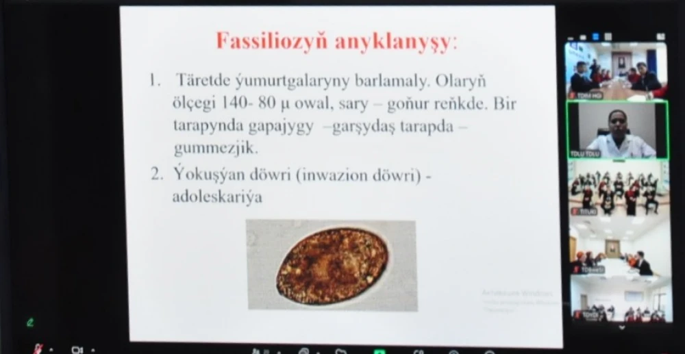 Onlaýn açyk sapak geçirildi