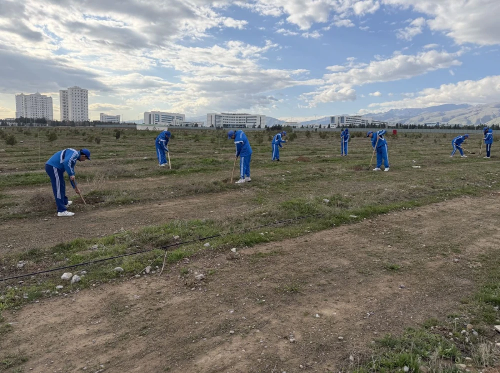 Ýurdumyzda ählihalk bag ekmek dabarasy ýokary ruhubelentlikde geçirildi