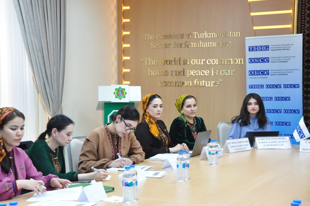 Media sowatlylyk boýunça professor-mugallymlar üçin okuw maslahaty