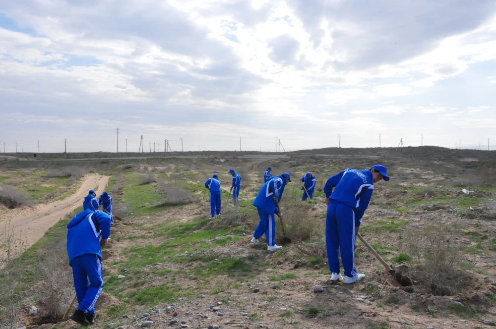 Ýurdumyzda ählihalk bag ekmek dabarasy ýokary ruhubelentlikde geçirildi