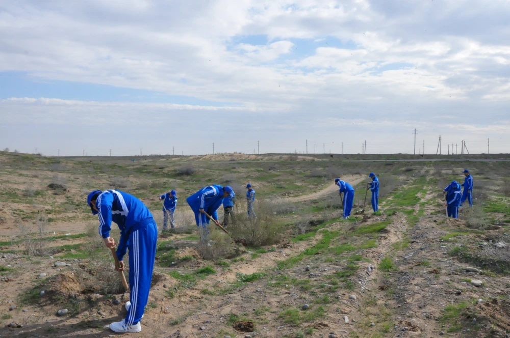 Ýurdumyzda ählihalk bag ekmek dabarasy ýokary ruhubelentlikde geçirildi