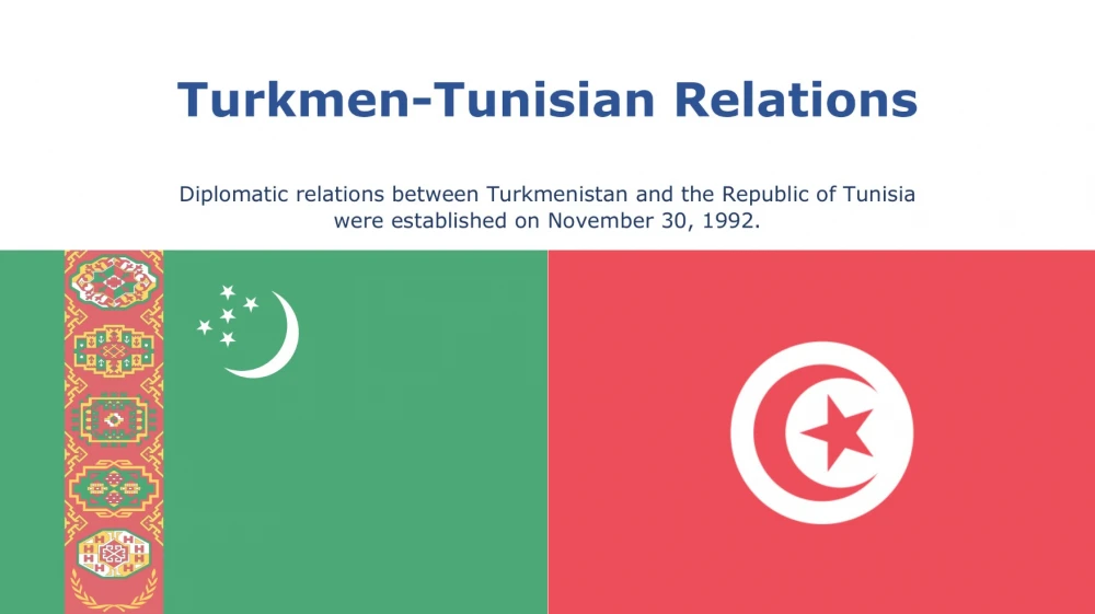 Online round table meeting dedicated to the 32th Anniversary of establishment of diplomatic relations between Turkmenistan and the Republic of Tunisia
