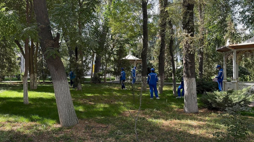 An Environmental Campaign was held with Participants of the “EcoClub” Circle